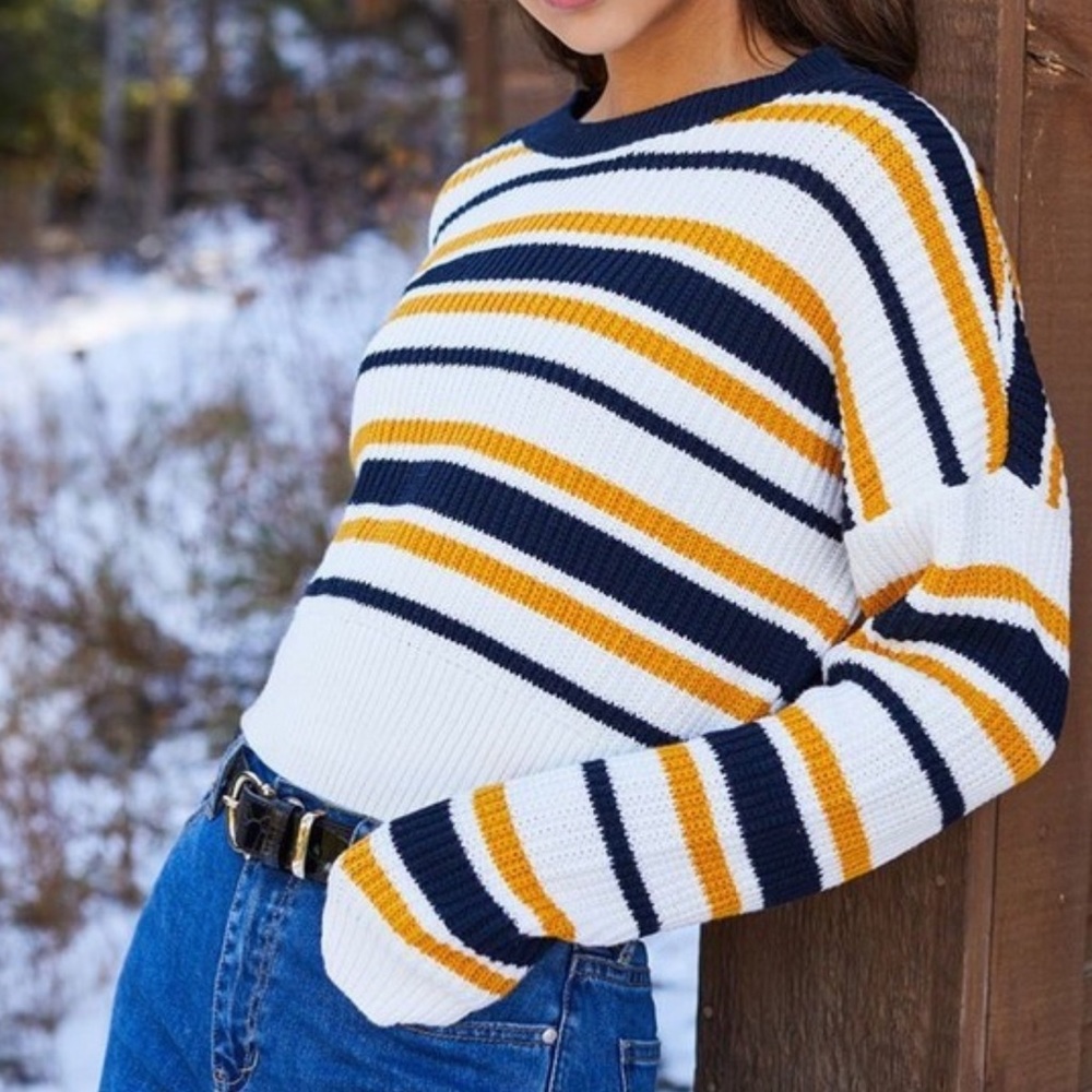 Pacsun PS/LA Striped Cropped Sweater